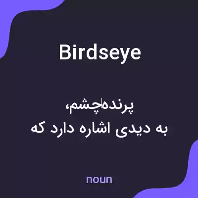 معنی birdseye به فارسی معنی birdseye به فارسی