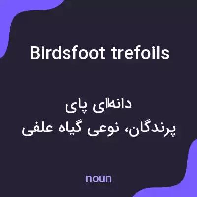 معنی birdsfoot trefoils به فارسی معنی birdsfoot trefoils به فارسی