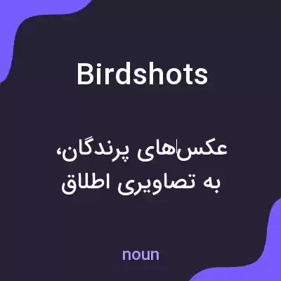 معنی birdshots به فارسی معنی birdshots به فارسی