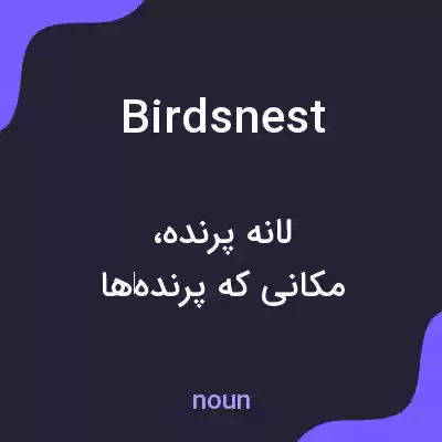 معنی birdsnest به فارسی معنی birdsnest به فارسی