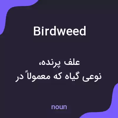 معنی birdweed به فارسی معنی birdweed به فارسی