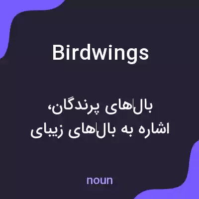 معنی birdwings به فارسی معنی birdwings به فارسی