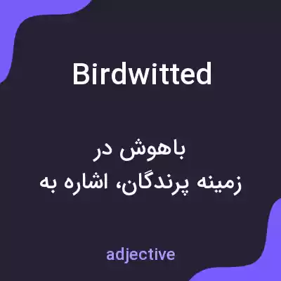 معنی birdwitted به فارسی معنی birdwitted به فارسی