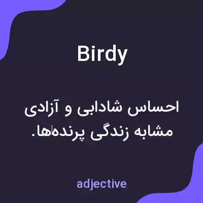 معنی birdy به فارسی معنی birdy به فارسی