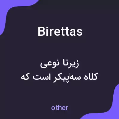 معنی birettas به فارسی