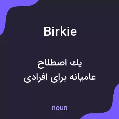 معنی birkie به فارسی معنی birkie به فارسی
