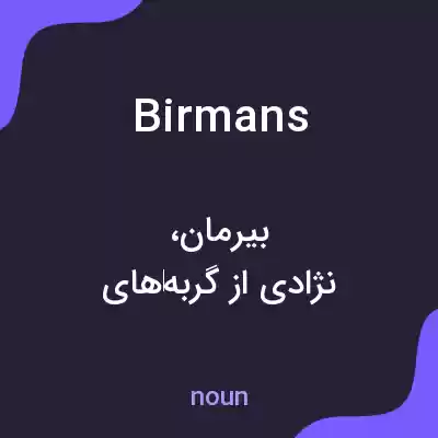 معنی birmans به فارسی