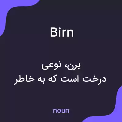 معنی birn به فارسی معنی birn به فارسی