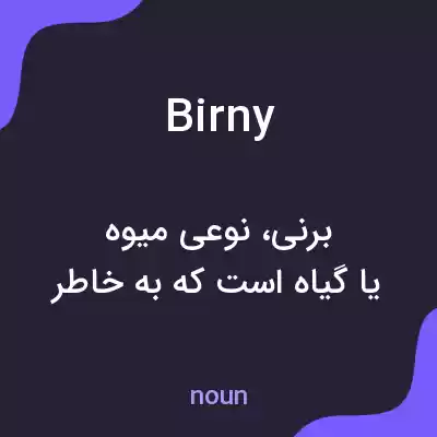 معنی birny به فارسی معنی birny به فارسی