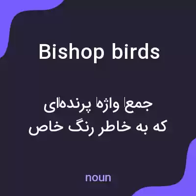 معنی bishop birds به فارسی