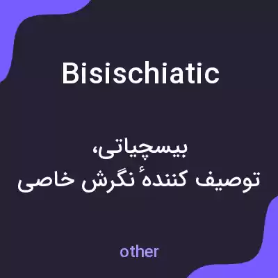معنی bisischiatic به فارسی