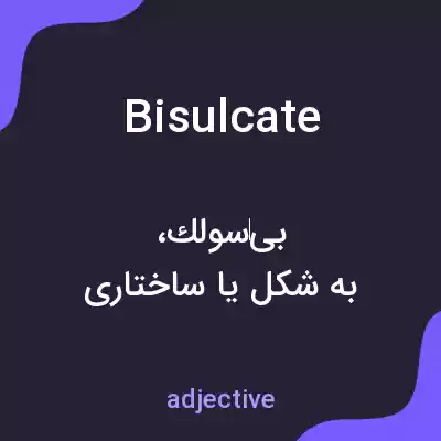 معنی bisulcate به فارسی معنی bisulcate به فارسی