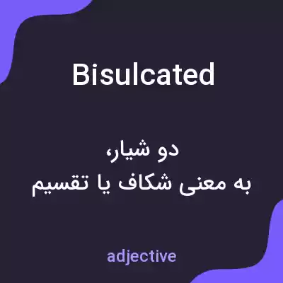 معنی bisulcated به فارسی معنی bisulcated به فارسی