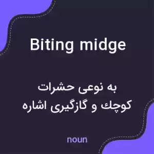 معنی biting midge به فارسی