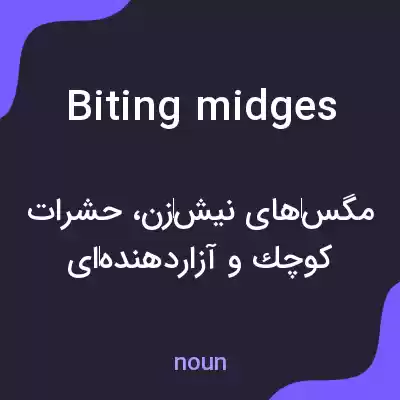 معنی biting midges به فارسی معنی biting midges به فارسی