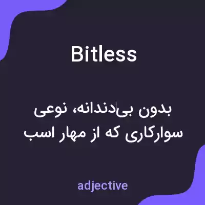 معنی bitless به فارسی معنی bitless به فارسی