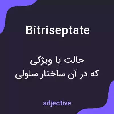 معنی bitriseptate به فارسی معنی bitriseptate به فارسی
