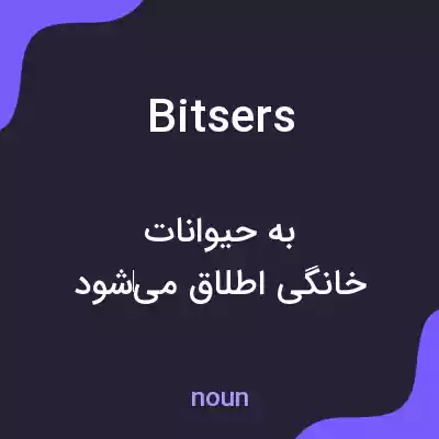 معنی bitsers به فارسی معنی bitsers به فارسی