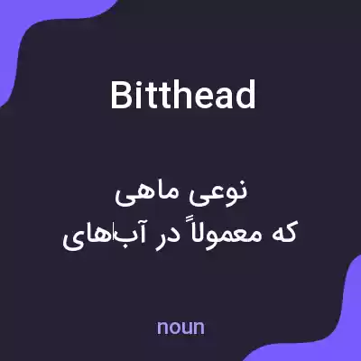 معنی bitthead به فارسی معنی bitthead به فارسی