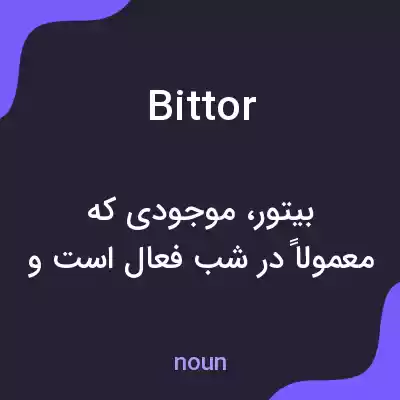 معنی bittor به فارسی معنی bittor به فارسی