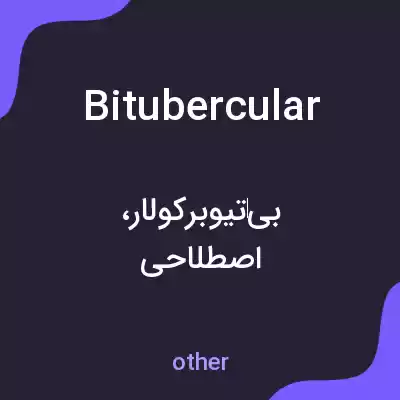معنی bitubercular به فارسی معنی bitubercular به فارسی