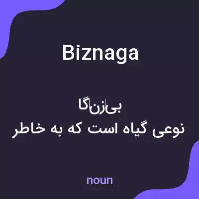 معنی biznaga به فارسی معنی biznaga به فارسی