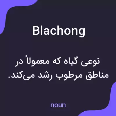 معنی blachong به فارسی معنی blachong به فارسی
