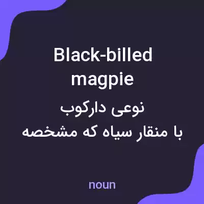 معنی black-billed magpie به فارسی معنی black-billed magpie به فارسی