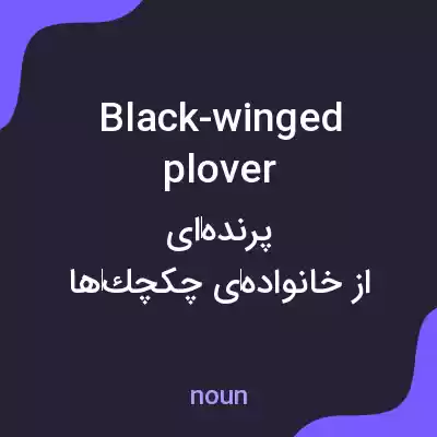 معنی black-winged plover به فارسی معنی black-winged plover به فارسی