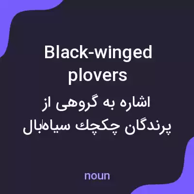 معنی black-winged plovers به فارسی معنی black-winged plovers به فارسی