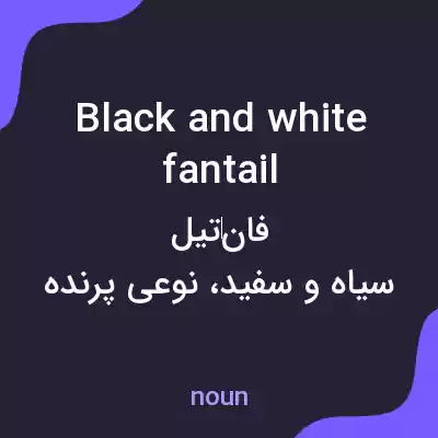 معنی black and white fantail به فارسی معنی black and white fantail به فارسی
