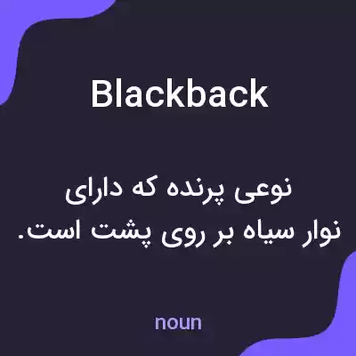معنی blackback به فارسی معنی blackback به فارسی