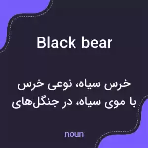 معنی black bear به فارسی معنی black bear به فارسی