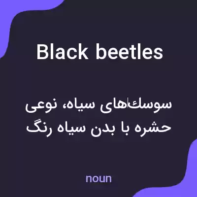 معنی black beetles به فارسی معنی black beetles به فارسی
