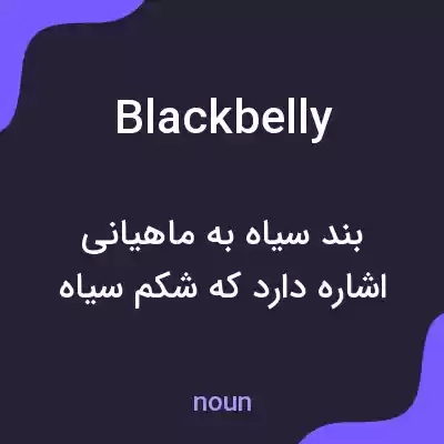 معنی blackbelly به فارسی معنی blackbelly به فارسی