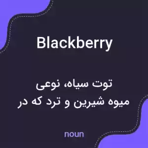 معنی blackberry به فارسی معنی blackberry به فارسی