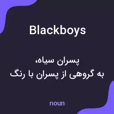 معنی blackboys به فارسی معنی blackboys به فارسی