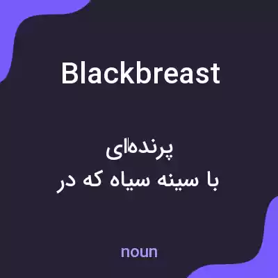 معنی blackbreast به فارسی معنی blackbreast به فارسی