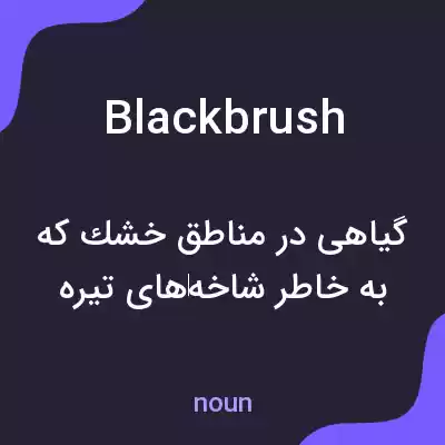 معنی blackbrush به فارسی معنی blackbrush به فارسی