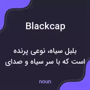 معنی blackcap به فارسی معنی blackcap به فارسی