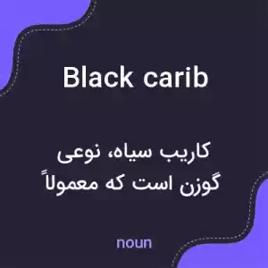 معنی black carib به فارسی معنی black carib به فارسی