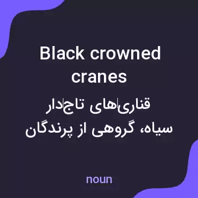معنی black crowned cranes به فارسی معنی black crowned cranes به فارسی