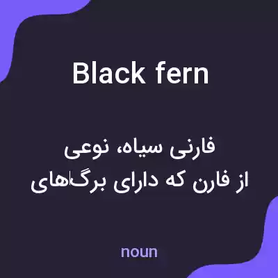 معنی black fern به فارسی معنی black fern به فارسی