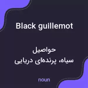 معنی black guillemot به فارسی معنی black guillemot به فارسی