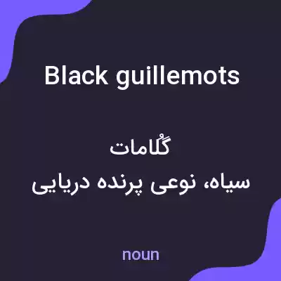 معنی black guillemots به فارسی معنی black guillemots به فارسی