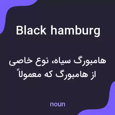 معنی black hamburg به فارسی معنی black hamburg به فارسی