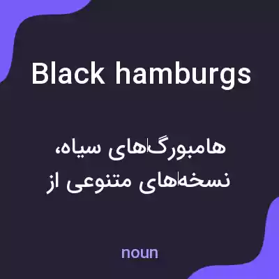 معنی black hamburgs به فارسی