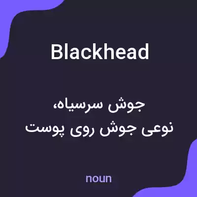 معنی blackhead به فارسی معنی blackhead به فارسی