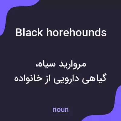 معنی black horehounds به فارسی معنی black horehounds به فارسی