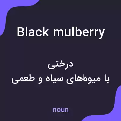 معنی black mulberry به فارسی معنی black mulberry به فارسی